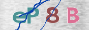 To prevent spam, please prove you are a real person by typing the characters you see in this box into the box below.