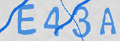 To prevent spam, please prove you are a real person by typing the characters you see in this box into the box below.