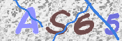 To prevent spam, please prove you are a real person by typing the characters you see in this box into the box below.
