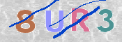 To prevent spam, please prove you are a real person by typing the characters you see in this box into the box below.