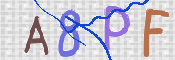 To prevent spam, please prove you are a real person by typing the characters you see in this box into the box below.
