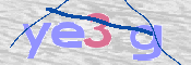 To prevent spam, please prove you are a real person by typing the characters you see in this box into the box below.