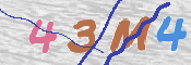 To prevent spam, please prove you are a real person by typing the characters you see in this box into the box below.