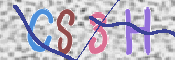 To prevent spam, please prove you are a real person by typing the characters you see in this box into the box below.