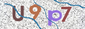 To prevent spam, please prove you are a real person by typing the characters you see in this box into the box below.