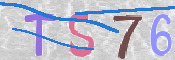 To prevent spam, please prove you are a real person by typing the characters you see in this box into the box below.