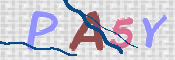 To prevent spam, please prove you are a real person by typing the characters you see in this box into the box below.