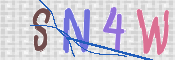 To prevent spam, please prove you are a real person by typing the characters you see in this box into the box below.