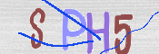 To prevent spam, please prove you are a real person by typing the characters you see in this box into the box below.