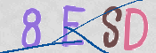 To prevent spam, please prove you are a real person by typing the characters you see in this box into the box below.