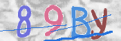 To prevent spam, please prove you are a real person by typing the characters you see in this box into the box below.