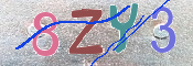 To prevent spam, please prove you are a real person by typing the characters you see in this box into the box below.