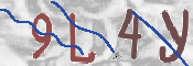To prevent spam, please prove you are a real person by typing the characters you see in this box into the box below.