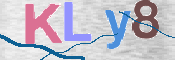 To prevent spam, please prove you are a real person by typing the characters you see in this box into the box below.