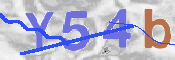 To prevent spam, please prove you are a real person by typing the characters you see in this box into the box below.