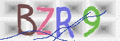 To prevent spam, please prove you are a real person by typing the characters you see in this box into the box below.