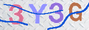 To prevent spam, please prove you are a real person by typing the characters you see in this box into the box below.