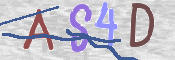 To prevent spam, please prove you are a real person by typing the characters you see in this box into the box below.