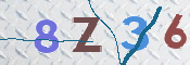 To prevent spam, please prove you are a real person by typing the characters you see in this box into the box below.