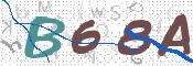 To prevent spam, please prove you are a real person by typing the characters you see in this box into the box below.