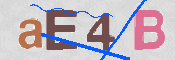 To prevent spam, please prove you are a real person by typing the characters you see in this box into the box below.