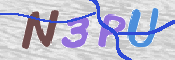 To prevent spam, please prove you are a real person by typing the characters you see in this box into the box below.