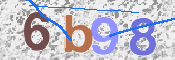 To prevent spam, please prove you are a real person by typing the characters you see in this box into the box below.