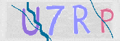 To prevent spam, please prove you are a real person by typing the characters you see in this box into the box below.