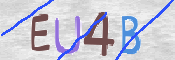 To prevent spam, please prove you are a real person by typing the characters you see in this box into the box below.