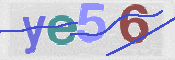 To prevent spam, please prove you are a real person by typing the characters you see in this box into the box below.
