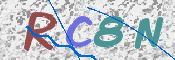 To prevent spam, please prove you are a real person by typing the characters you see in this box into the box below.