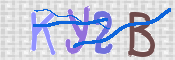 To prevent spam, please prove you are a real person by typing the characters you see in this box into the box below.