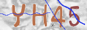 To prevent spam, please prove you are a real person by typing the characters you see in this box into the box below.