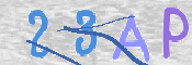 To prevent spam, please prove you are a real person by typing the characters you see in this box into the box below.