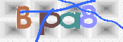 To prevent spam, please prove you are a real person by typing the characters you see in this box into the box below.