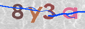 To prevent spam, please prove you are a real person by typing the characters you see in this box into the box below.