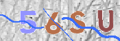 To prevent spam, please prove you are a real person by typing the characters you see in this box into the box below.
