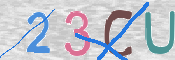 To prevent spam, please prove you are a real person by typing the characters you see in this box into the box below.
