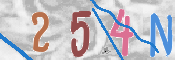 To prevent spam, please prove you are a real person by typing the characters you see in this box into the box below.