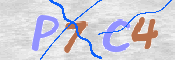 To prevent spam, please prove you are a real person by typing the characters you see in this box into the box below.