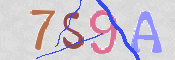 To prevent spam, please prove you are a real person by typing the characters you see in this box into the box below.