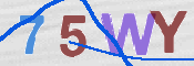 To prevent spam, please prove you are a real person by typing the characters you see in this box into the box below.
