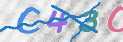 To prevent spam, please prove you are a real person by typing the characters you see in this box into the box below.