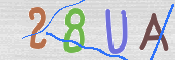 To prevent spam, please prove you are a real person by typing the characters you see in this box into the box below.
