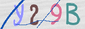 To prevent spam, please prove you are a real person by typing the characters you see in this box into the box below.