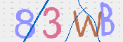 To prevent spam, please prove you are a real person by typing the characters you see in this box into the box below.