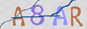 To prevent spam, please prove you are a real person by typing the characters you see in this box into the box below.