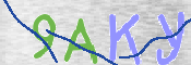 To prevent spam, please prove you are a real person by typing the characters you see in this box into the box below.