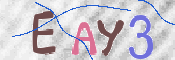 To prevent spam, please prove you are a real person by typing the characters you see in this box into the box below.