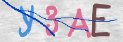 To prevent spam, please prove you are a real person by typing the characters you see in this box into the box below.